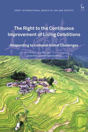 The Right to the Continuous Improvement of Living Conditions: Responding to Complex Global Challenges de Jessie Hohmann