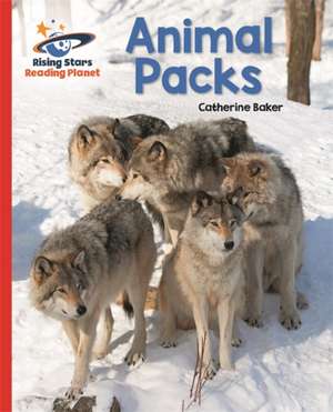 Reading Planet - Animal Packs - Red A: Galaxy de Catherine Baker