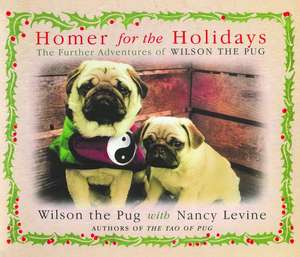 Homer for the Holidays de Nancy Levine