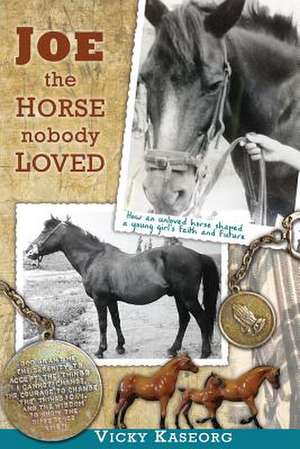 Joe -- The Horse Nobody Loved de Vicky S. Kaseorg