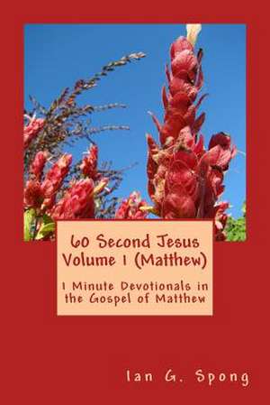 60 Second Jesus Volume 1 (Matthew) de Spong, Ian Grant