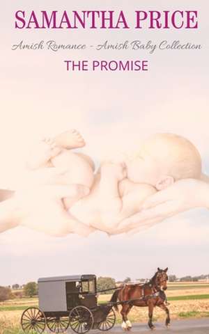 The Promise de Samantha Price