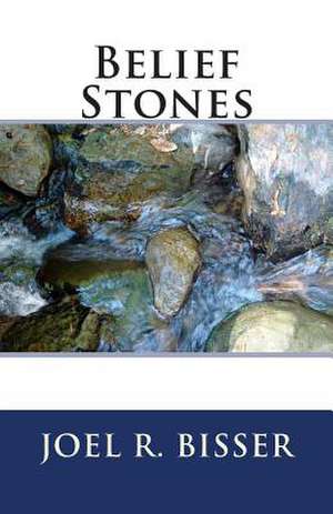 Belief Stones de Joel R. Bisser