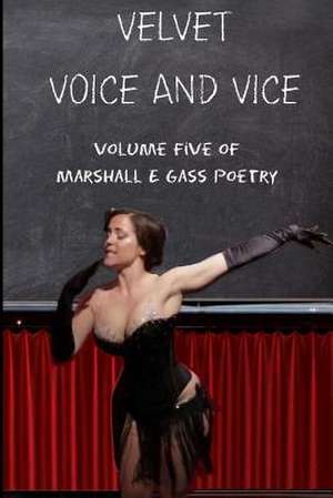 Velvet Voice & Vice de Marshall E. Gass