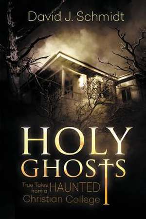 Holy Ghosts de Schmidt, David J.