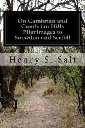 On Cambrian and Cumbrian Hills Pilgrimages to Snowdon and Scafell de Henry S. Salt