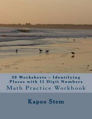 30 Worksheets - Identifying Places with 11 Digit Numbers de Kapoo Stem