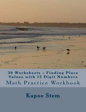 30 Worksheets - Finding Place Values with 12 Digit Numbers de Kapoo Stem