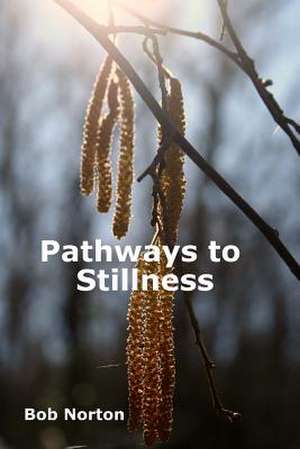 Pathways to Stillness de Bob Norton