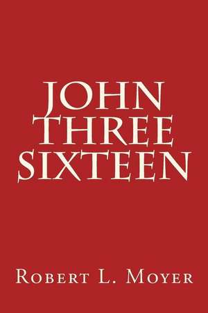 John Three Sixteen de Robert L. Moyer