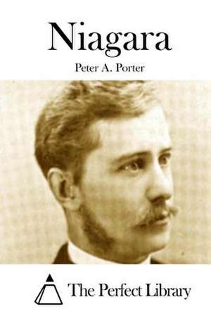 Niagara de Peter A. Porter