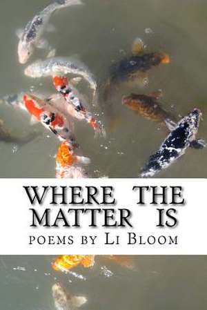 Where the Matter Is de Li Bloom
