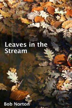 Leaves in the Stream de Bob Norton