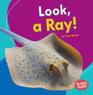 Look, a Ray! de Tessa Kenan