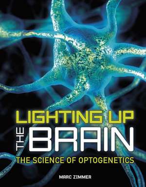 Lighting Up the Brain de Marc Zimmer