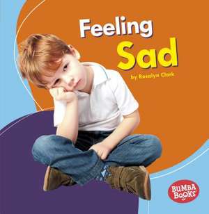 Feeling Sad de Rosalyn Clark