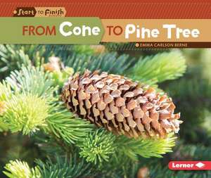 From Cone to Pine Tree de Emma Berne