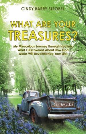 What Are Your Treasures? de Cindy Barry Strobel