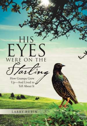 His Eyes Were on the Starling de Larry Rubin