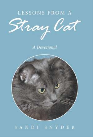Lessons from a Stray Cat de Sandi Snyder