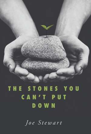 The Stones You Can't Put Down de Joe Stewart