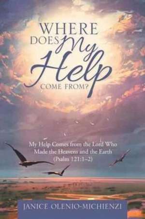 Where Does My Help Come From? de Janice Olenio-Michienzi