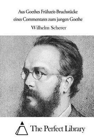 Aus Goethes Fruhzeit-Bruchstucke Eines Commentares Zum Jungen Goethe de Wilhelm Scherer