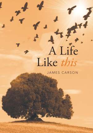 A Life Like This de James Carson