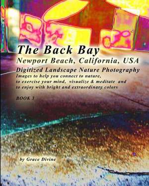 The Back Bay Newport Beach California USA Digitized Landscape Nature Photography de Grace Divine