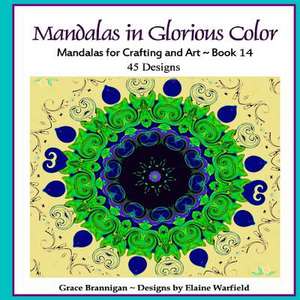 Mandalas in Glorious Color Book 14 de Grace Brannigan