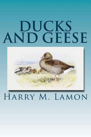 Ducks and Geese de Rob R. Slocum