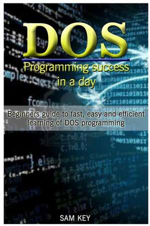 DOS Programming Success in a Day de Sam Key