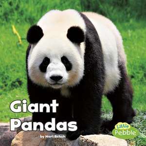 Giant Pandas de Mari Schuh