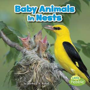 Baby Animals in Nests de Martha E. Rustad