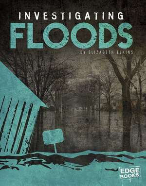 Investigating Floods de Elizabeth Elkins