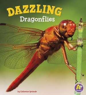 Dazzling Dragonflies de Catherine Ipcizade