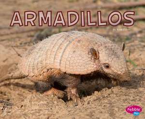 Armadillos de Rose Davin