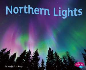 Northern Lights de Martha E. Rustad