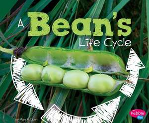 A Bean's Life Cycle de Mary R. Dunn