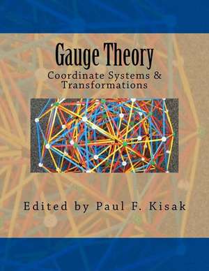 Gauge Theory de Edited by Paul F. Kisak