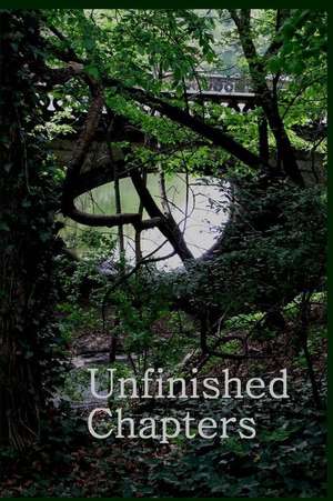 Unfinished Chapters de Christina Hamlett