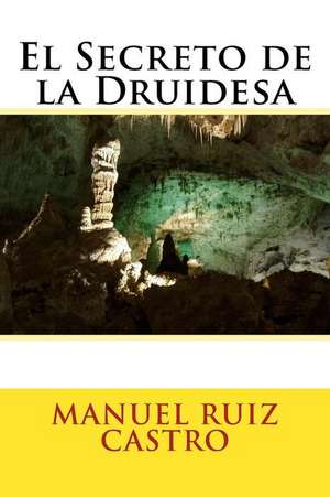 El Secreto de La Druidesa de Manuel Ruiz Castro