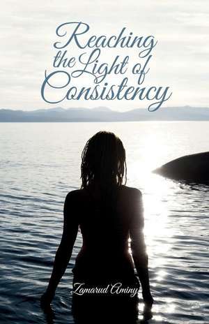 Reaching the Light of Consistency de Zamarud Aminy