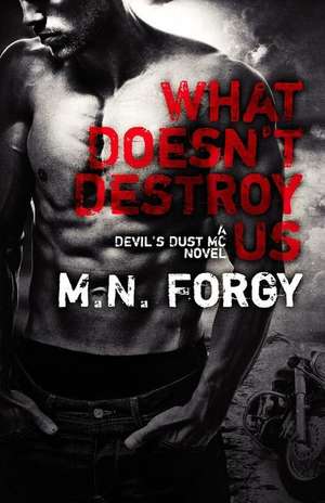 What Doesn't Destroy Us de M. N. Forgy