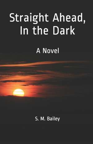 Straight Ahead, in the Dark de S. M. Bailey