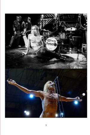 Iggy and the Stooges de Steven King