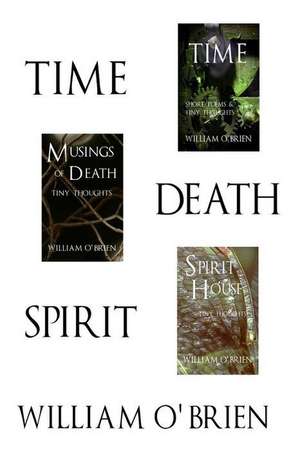 Time, Death, Spirit de William O'Brien