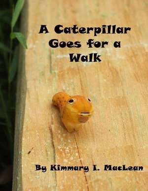 A Caterpillar Goes for a Walk de Kimmary I. MacLean