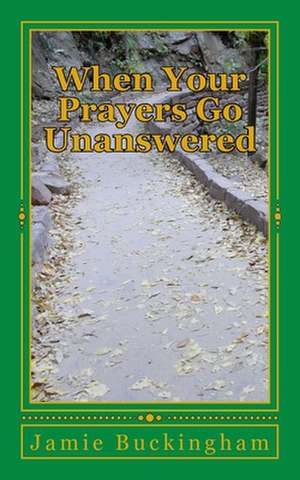 When Your Prayers Go Unanswered de Jamie Buckingham