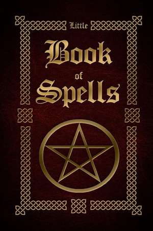 Little Book of Spells de Sophia Silvervine